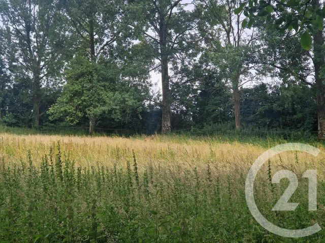 terrain à vendre - 3734.0 m2 - CORMONT - 62 - NORD-PAS-DE-CALAIS - Century 21 La Concorde